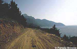 The road to Seitani